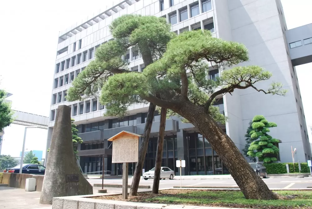 羽衣公園の写真1