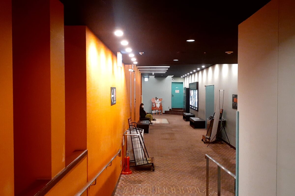 神戸国際松竹の写真4