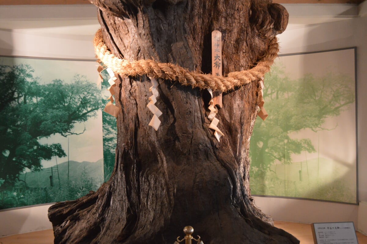 資料館夢ひらやの写真3