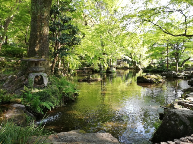 岐阜公園の写真3