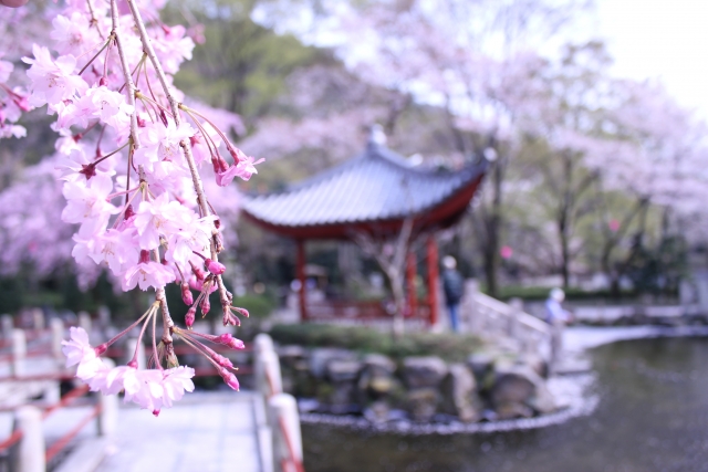 岐阜公園の写真5