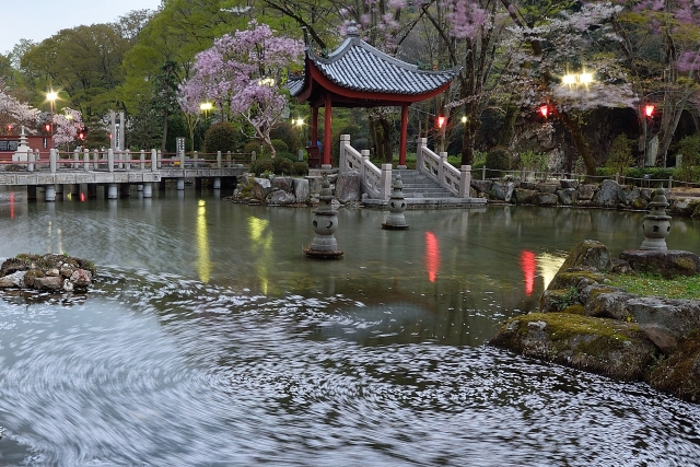 岐阜公園の写真6