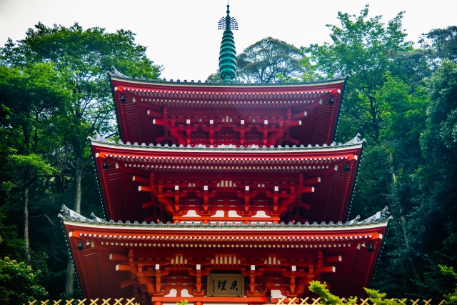 岐阜公園の写真7