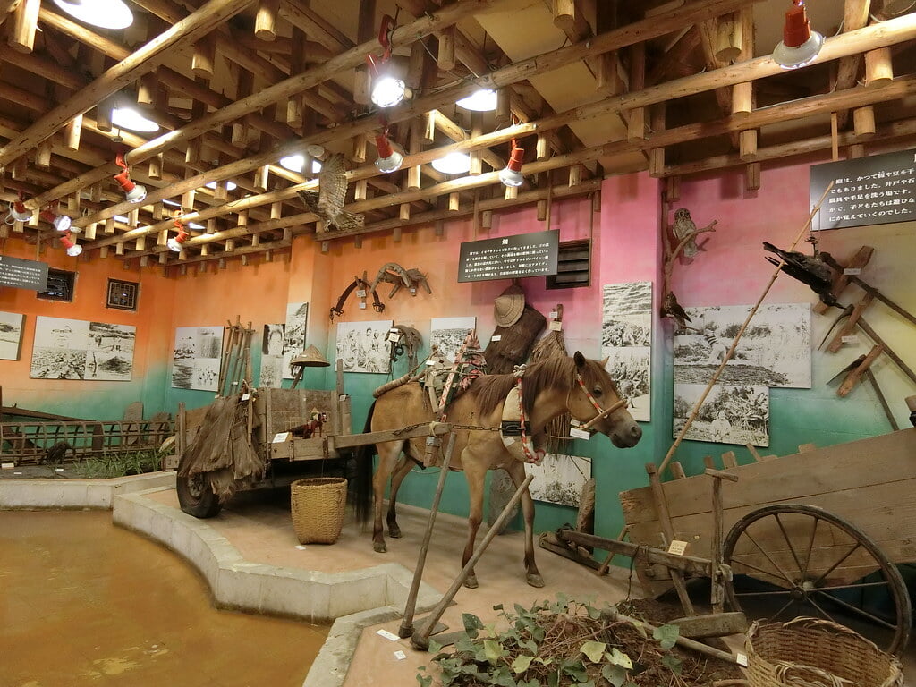 名護博物館の写真3