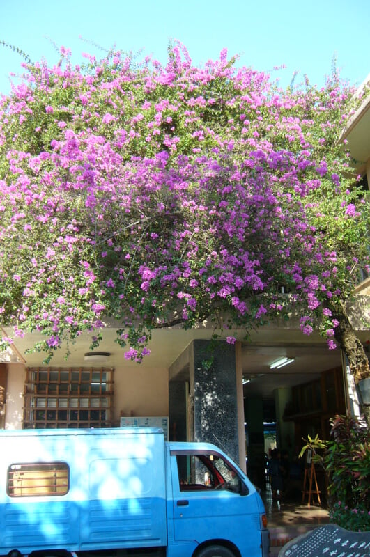 名護博物館の写真5