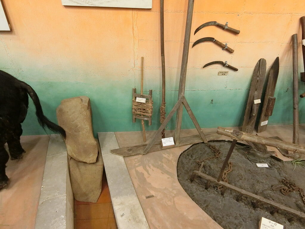 名護博物館の写真8