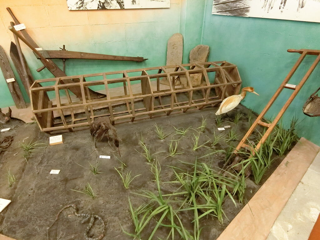 名護博物館の写真13