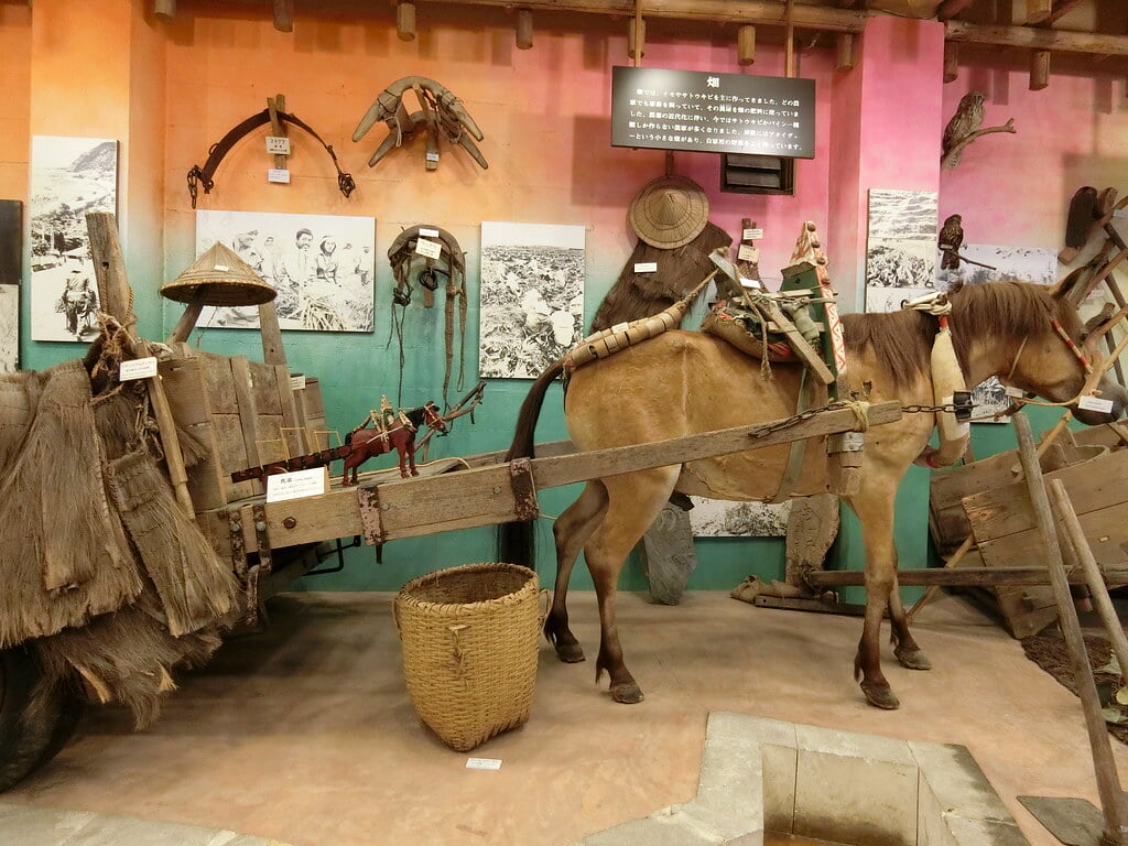 名護博物館の写真14