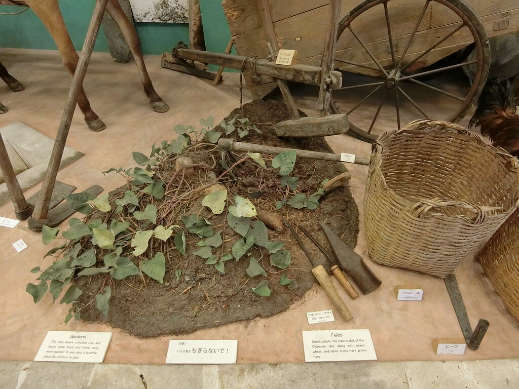 名護博物館の写真18