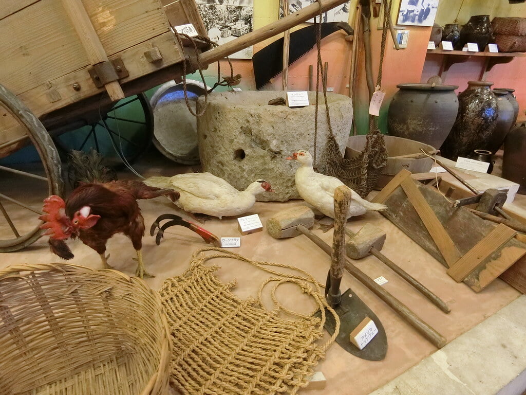 名護博物館の写真22