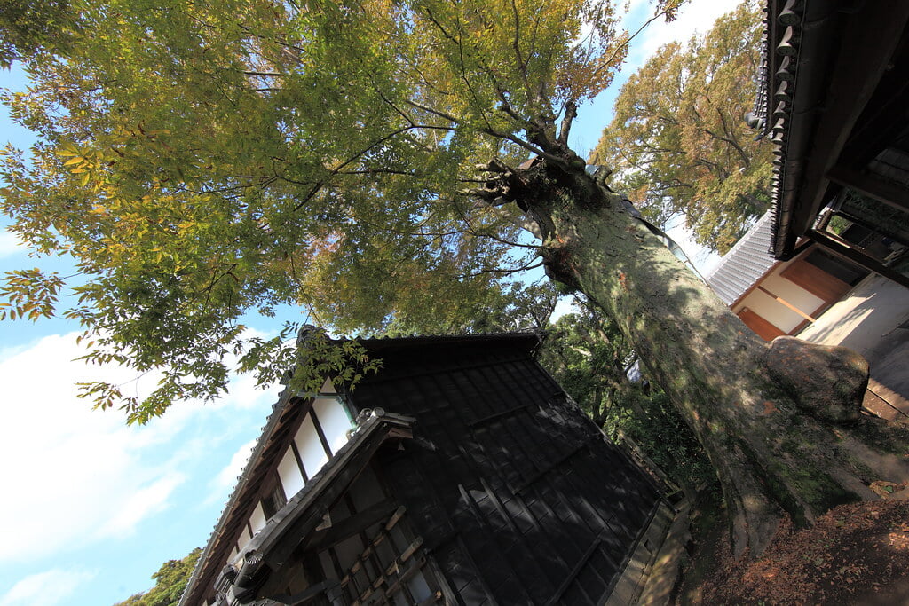 旧吉田家住宅歴史公園の写真17