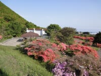 恵山つつじ公園