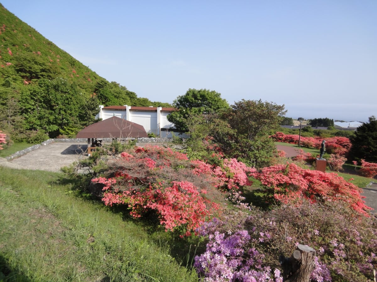 恵山つつじ公園の写真1