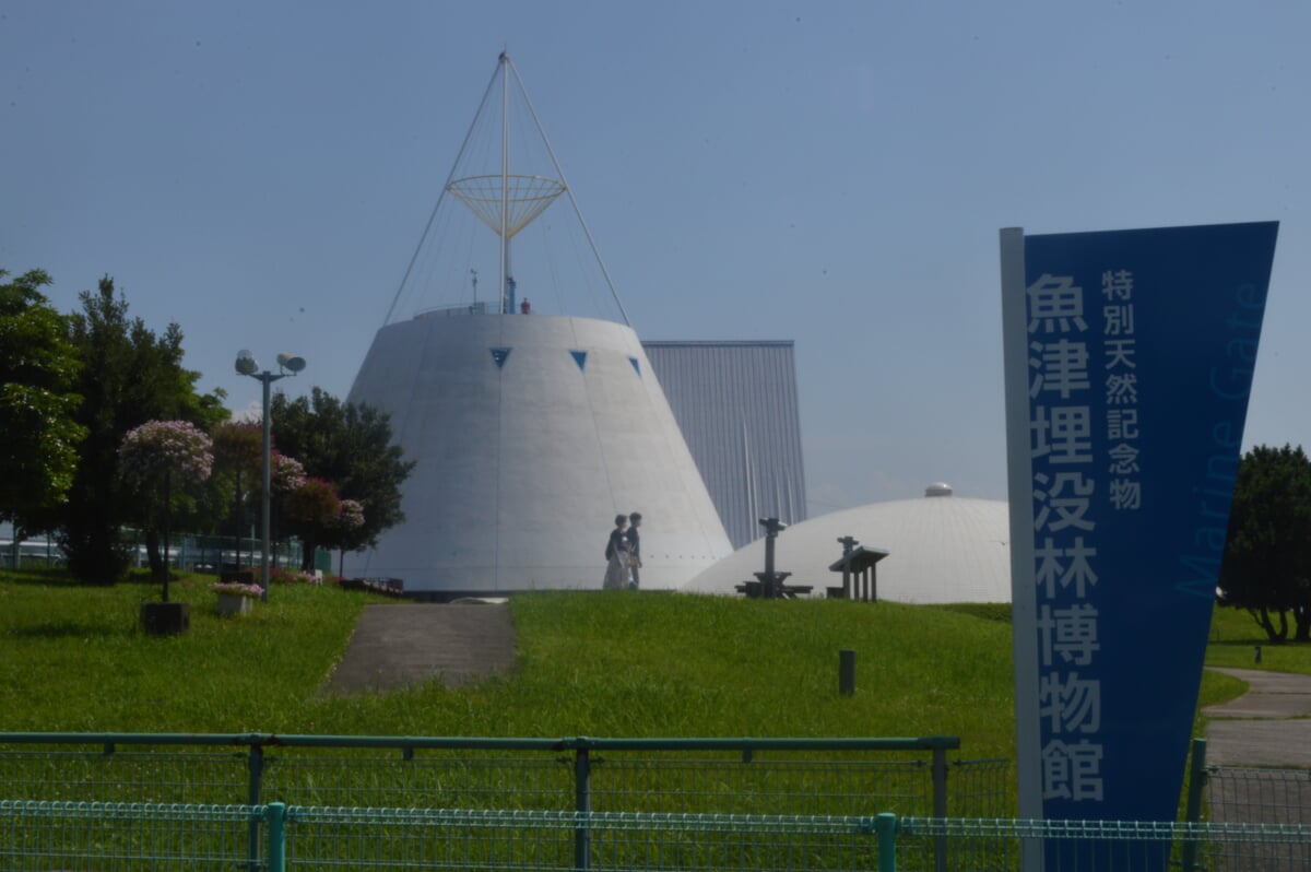 魚津埋没林博物館の写真2