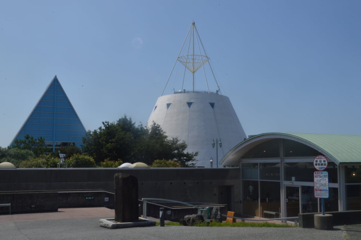 魚津埋没林博物館の写真3