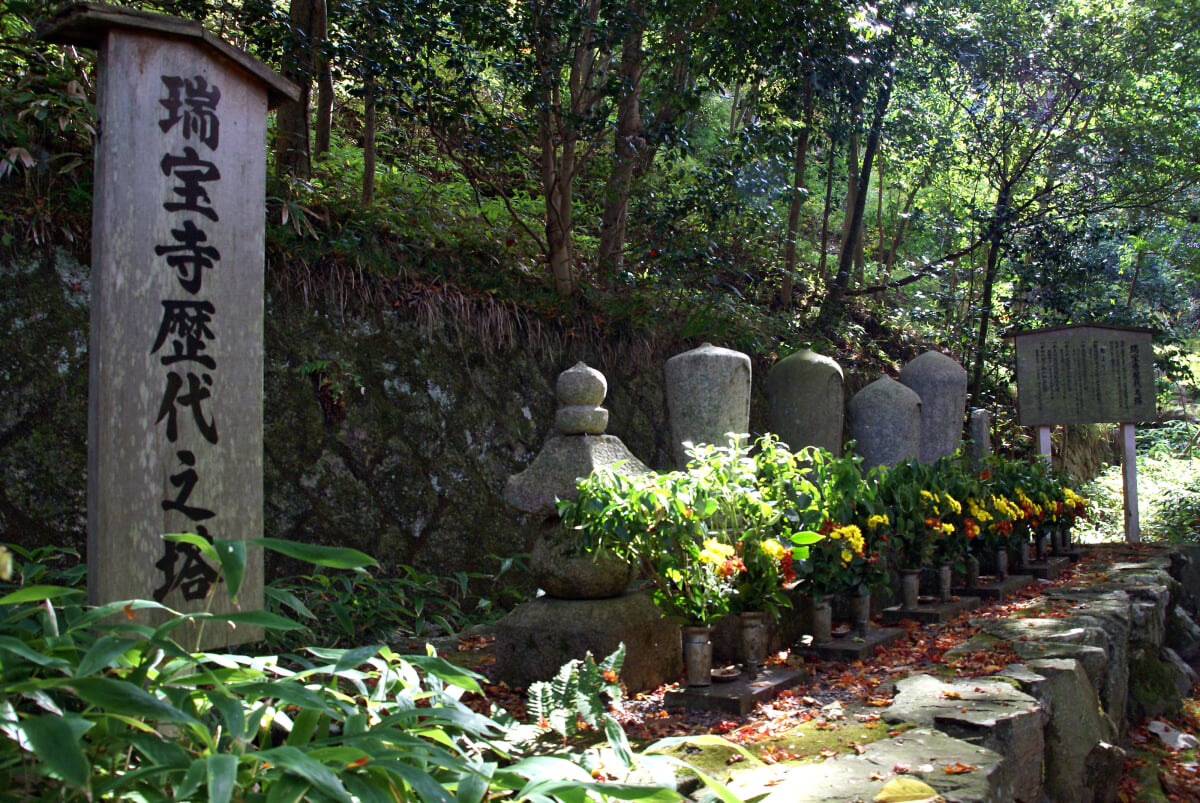 瑞宝寺公園の写真9