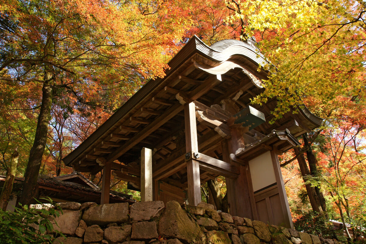 瑞宝寺公園の写真10