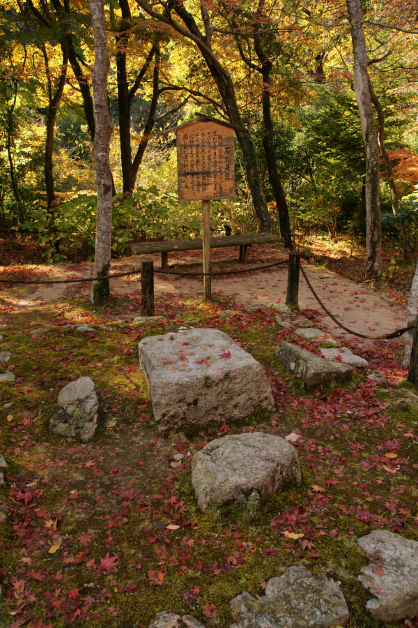 瑞宝寺公園の写真13
