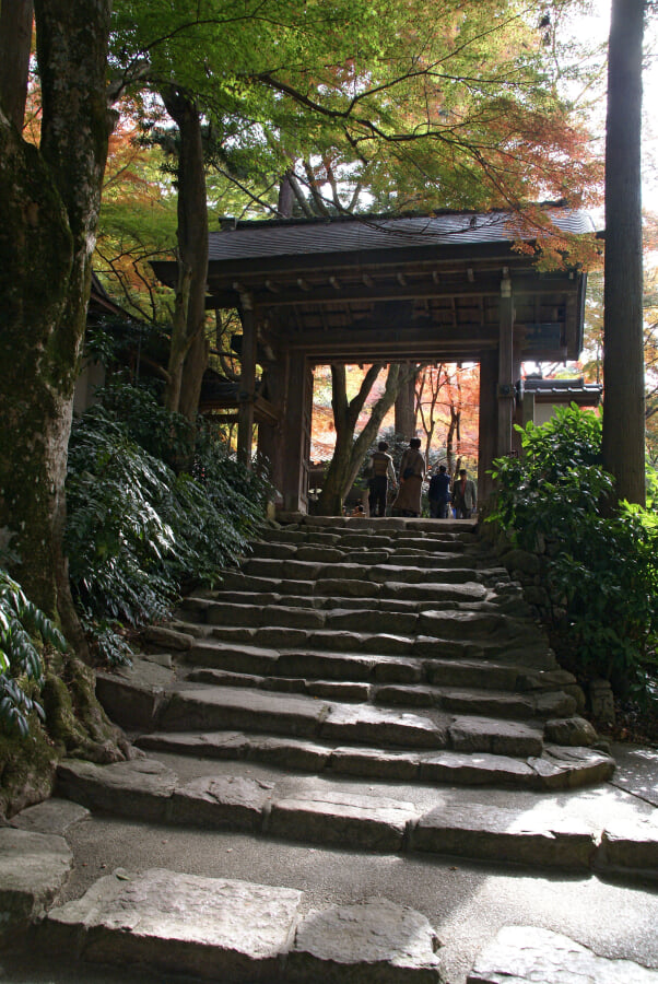 瑞宝寺公園の写真14