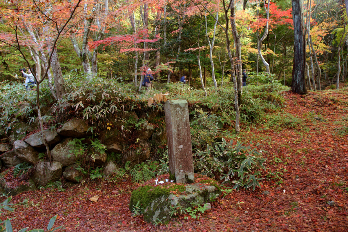 瑞宝寺公園の写真16