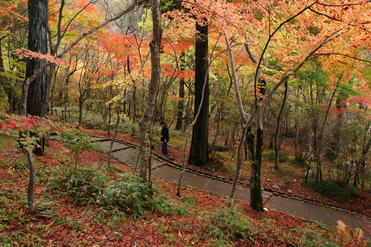 瑞宝寺公園の写真21