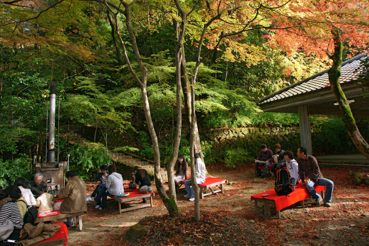 瑞宝寺公園の写真23
