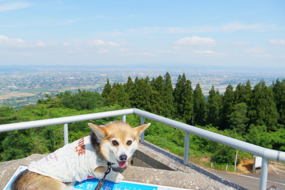 散居村展望台の写真1
