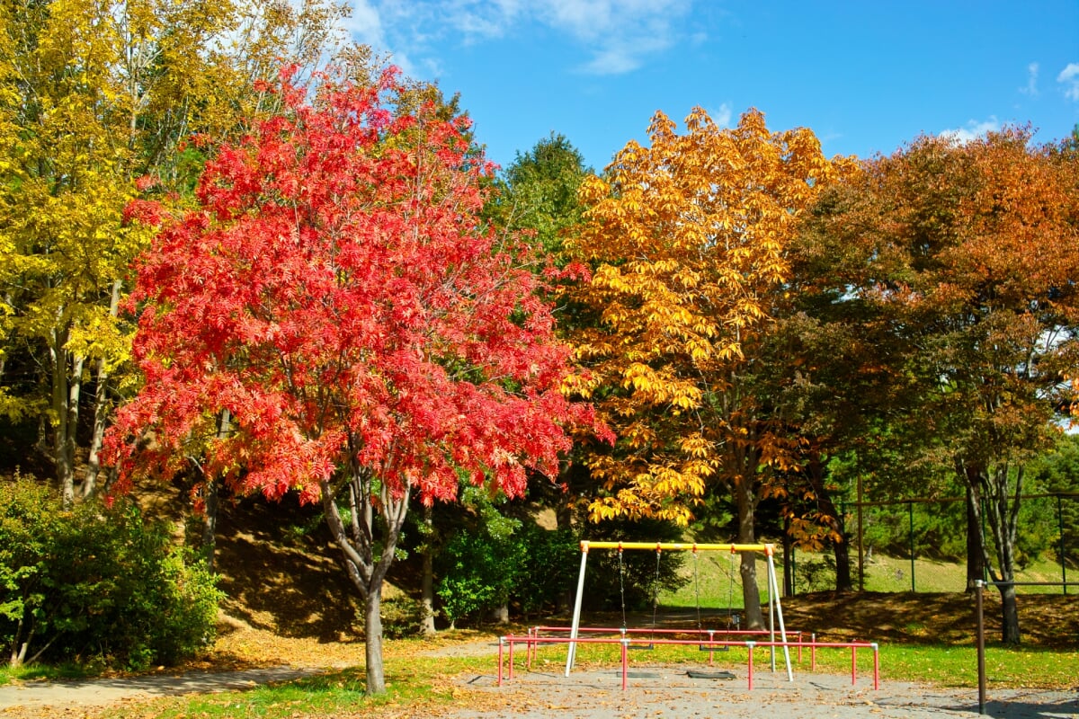 西桔梗公園の写真2