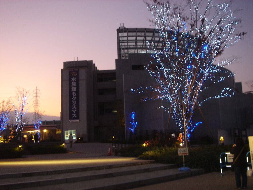 世界淡水魚園水族館 アクア・トト ぎふの写真3