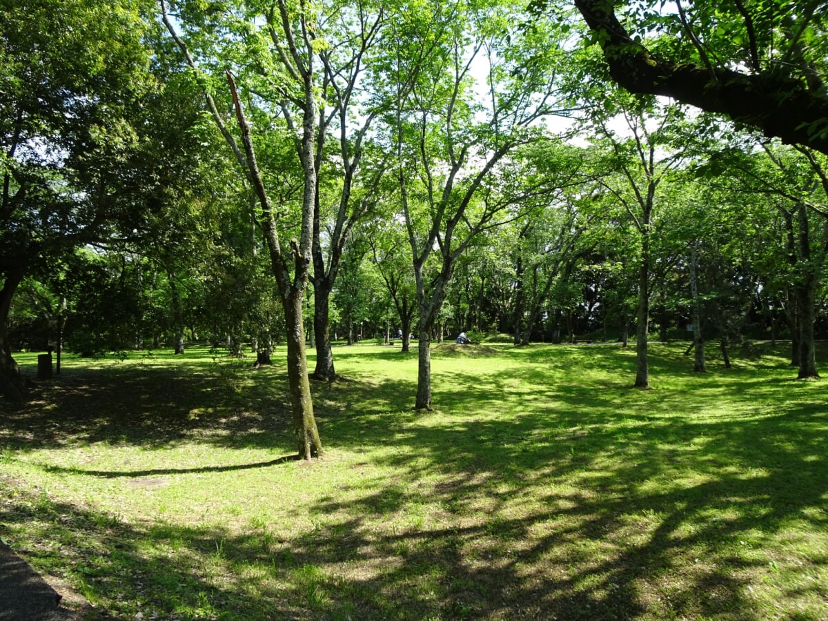 佐倉城址公園の写真2