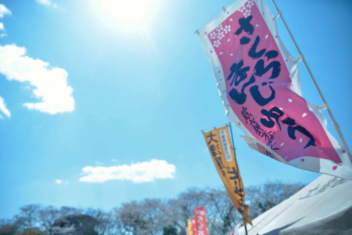 佐倉城址公園の写真4