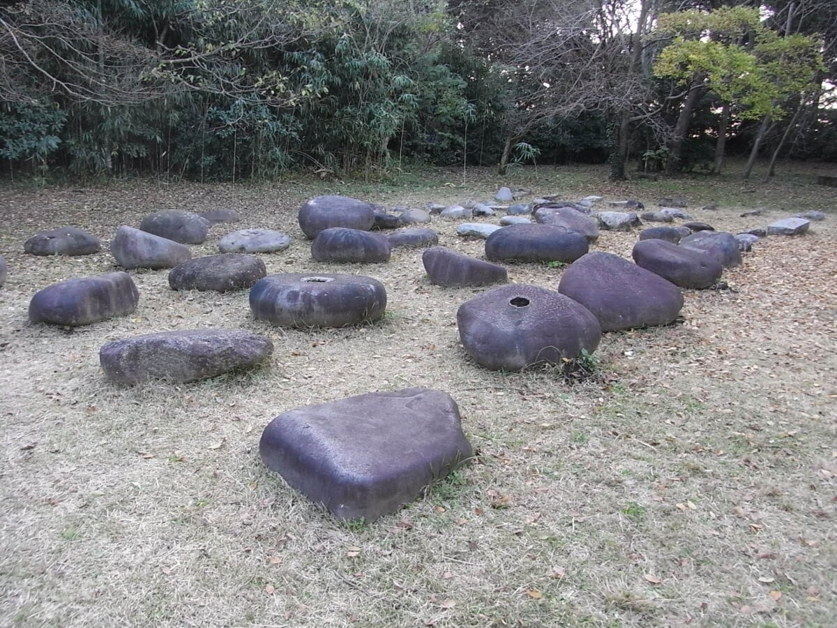 佐倉城址公園の写真9