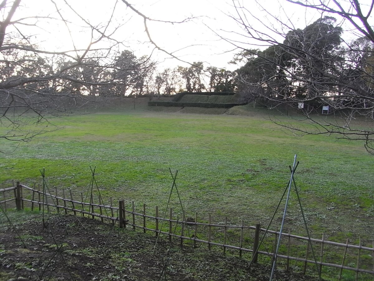 佐倉城址公園の写真10