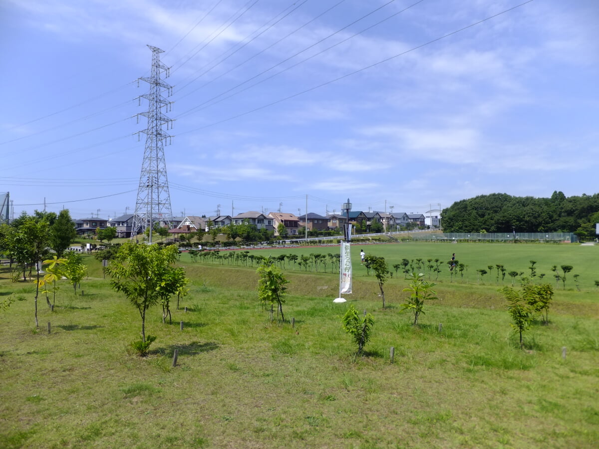 御所野総合公園の写真5