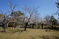 蓮池公園