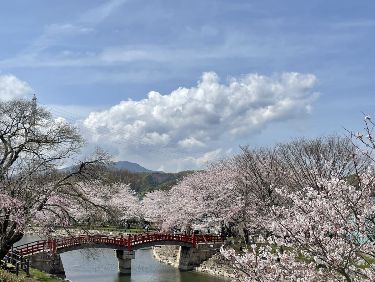 岩脇公園の写真1