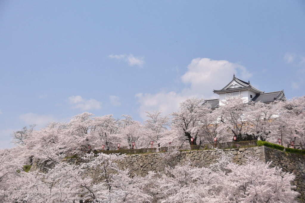 津山城 鶴山公園の写真4