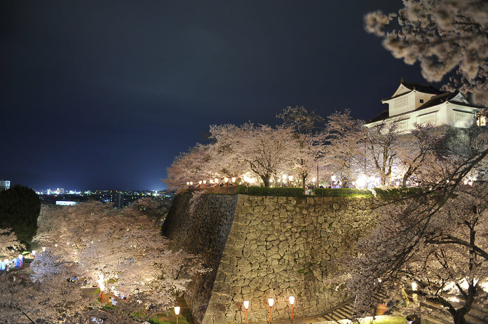 津山城 鶴山公園の写真6