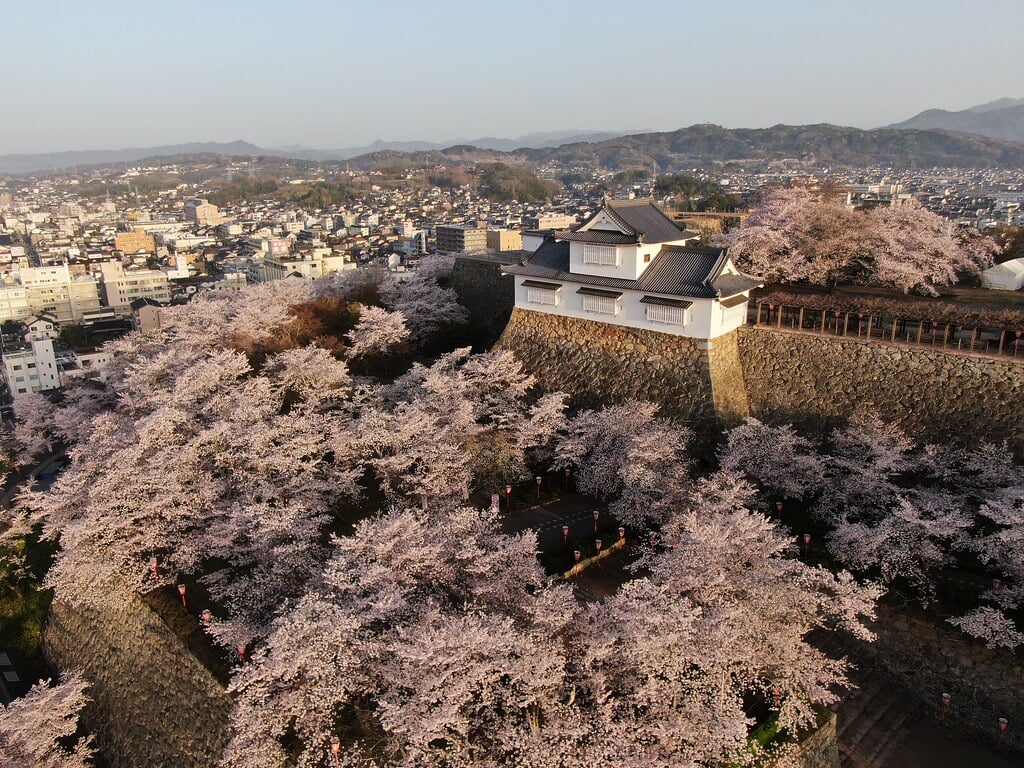 津山城 鶴山公園の写真7