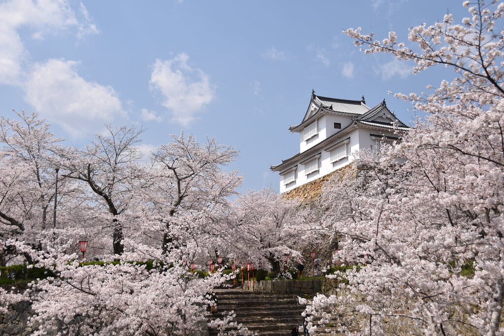 津山城 鶴山公園の写真9