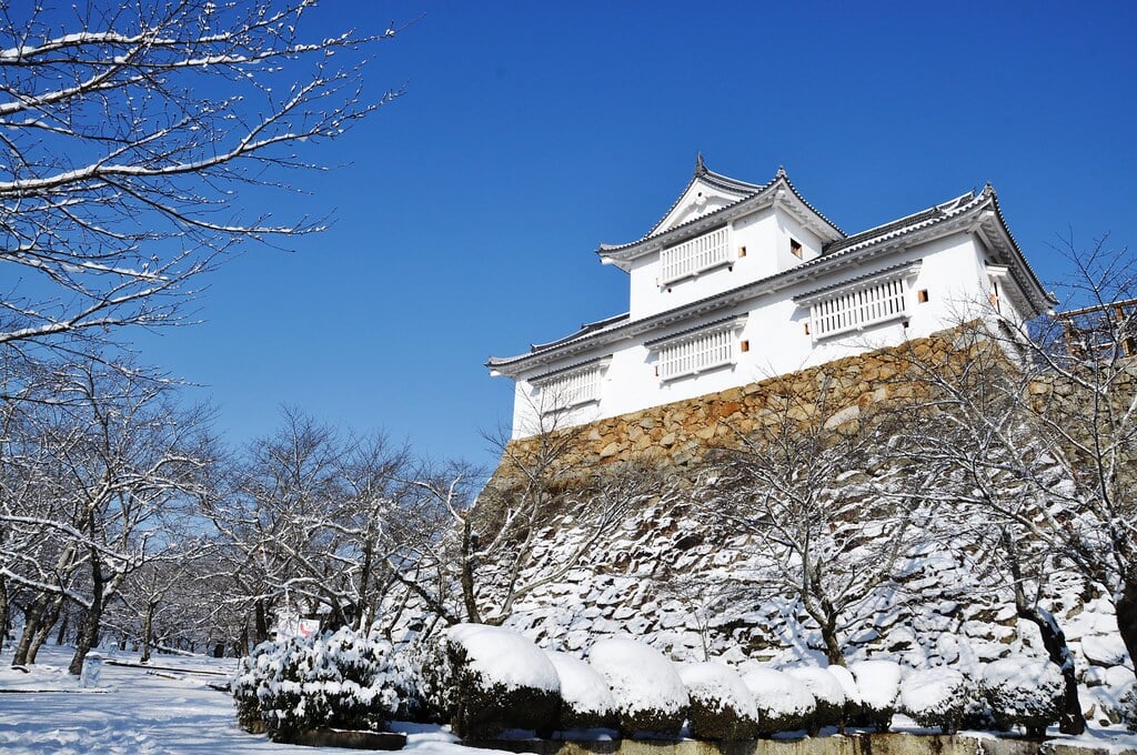 津山城 鶴山公園の写真10