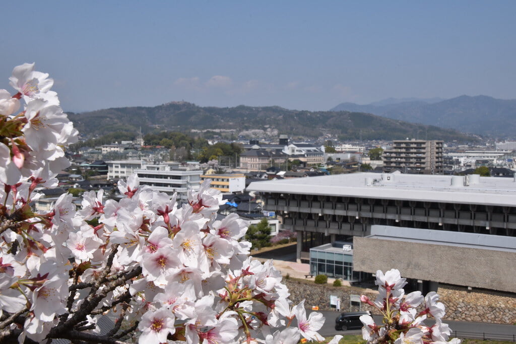 津山城 鶴山公園の写真13