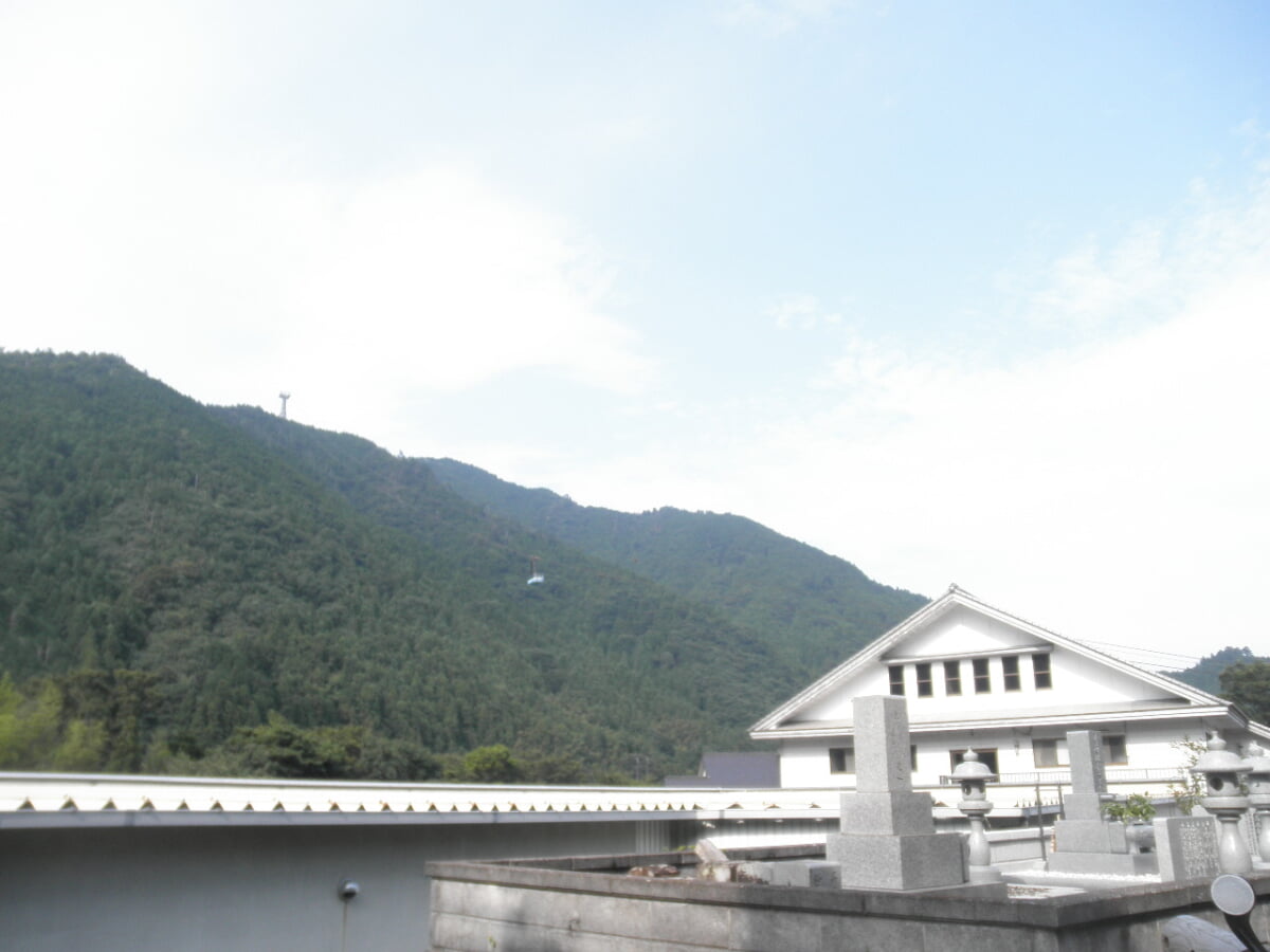 道の駅　鷲の里の写真3