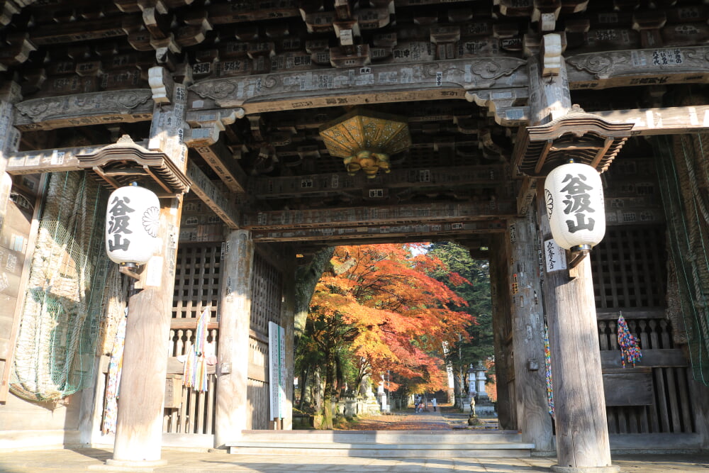 谷汲山華厳寺の写真1
