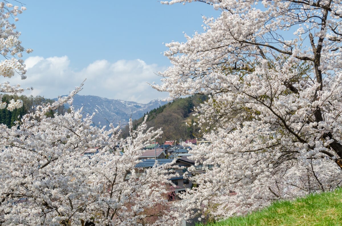 飯山城址の写真1