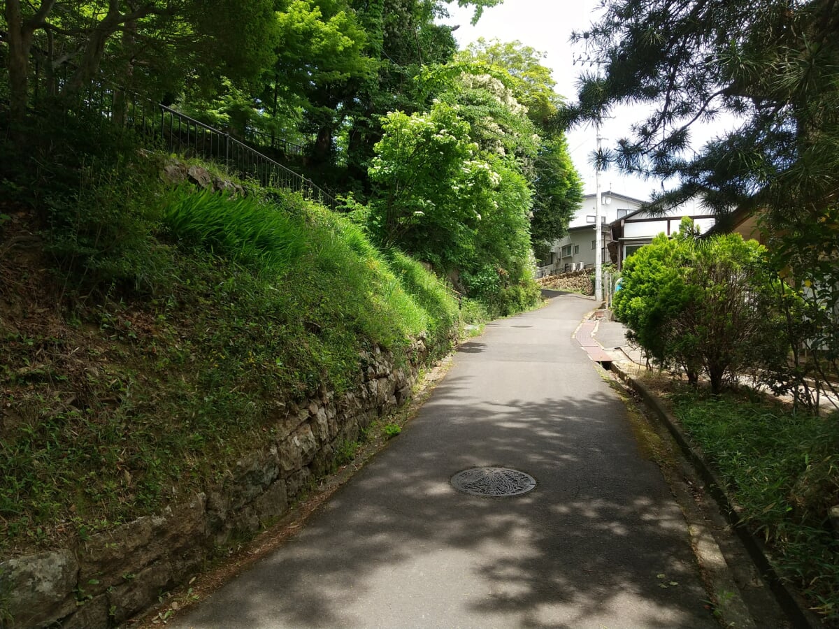 信夫山公園の写真2