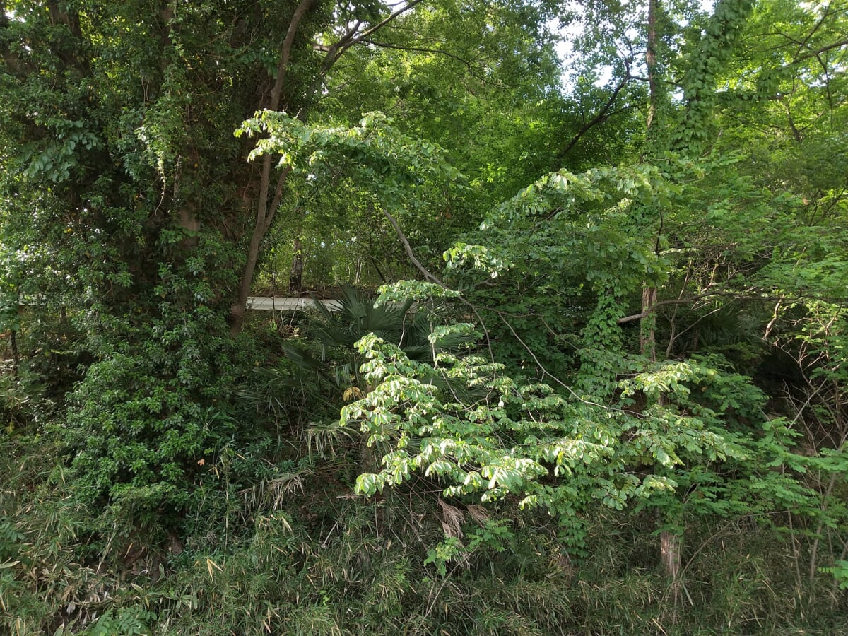 信夫山公園の写真10