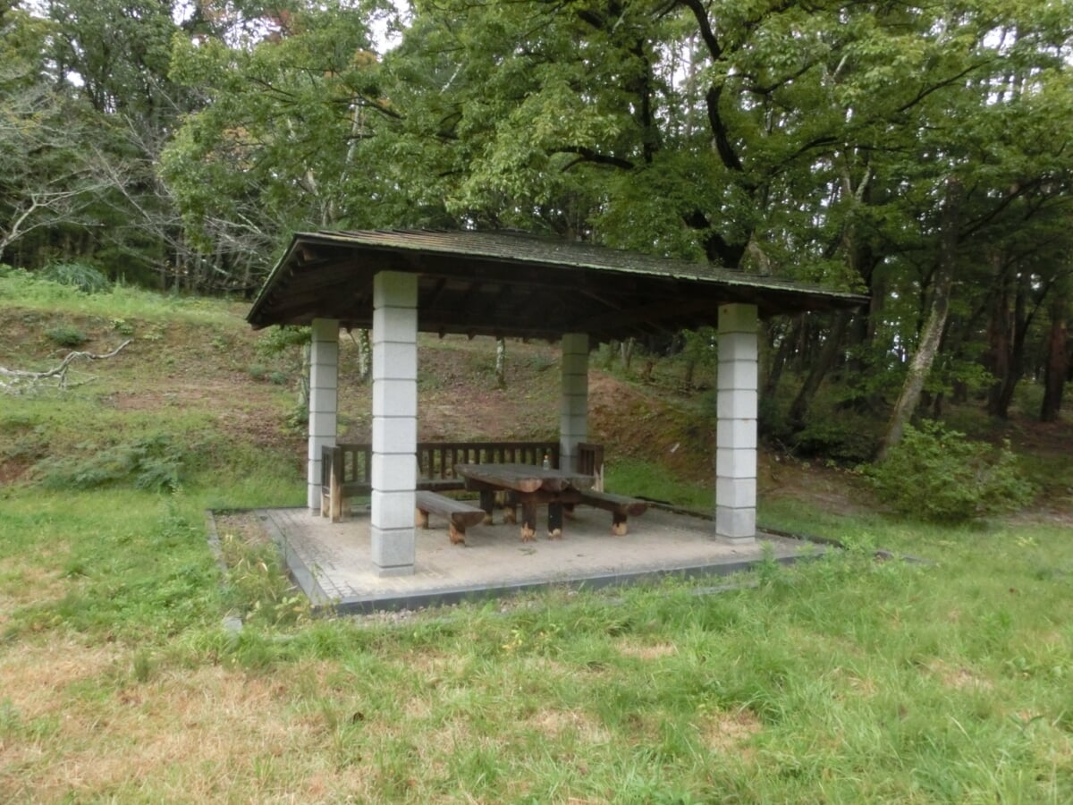 信夫山公園の写真11