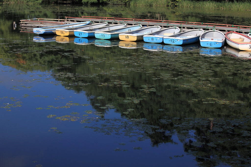 南湖公園の写真9
