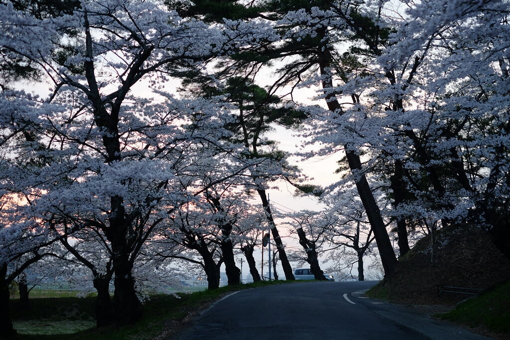 南湖公園の写真11